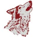Four Corners Coyotes logo